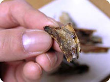 軽く焼くことで実が柔らかくなっておいしさもアップ