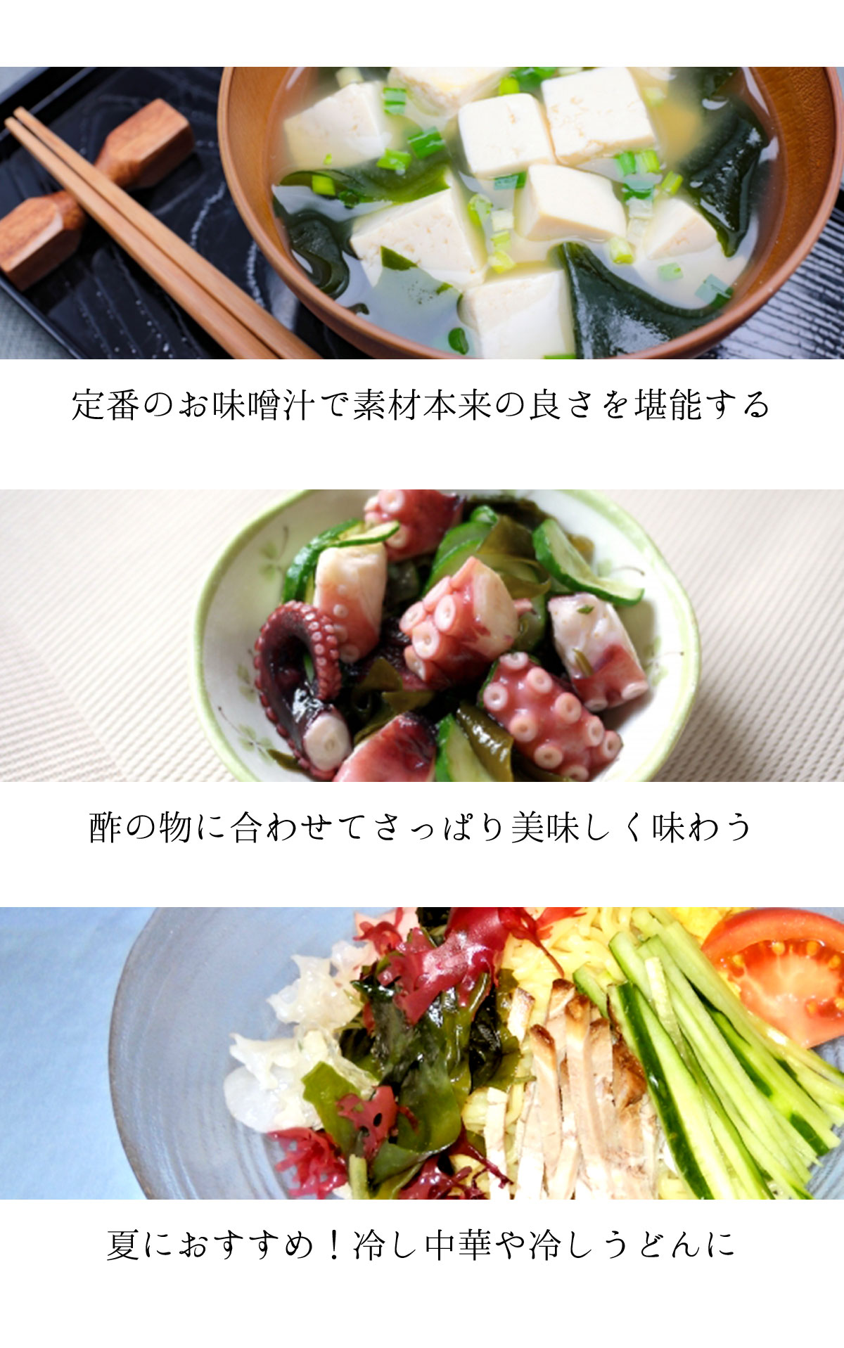 九州の温暖の海で育った有明海産カットわかめ