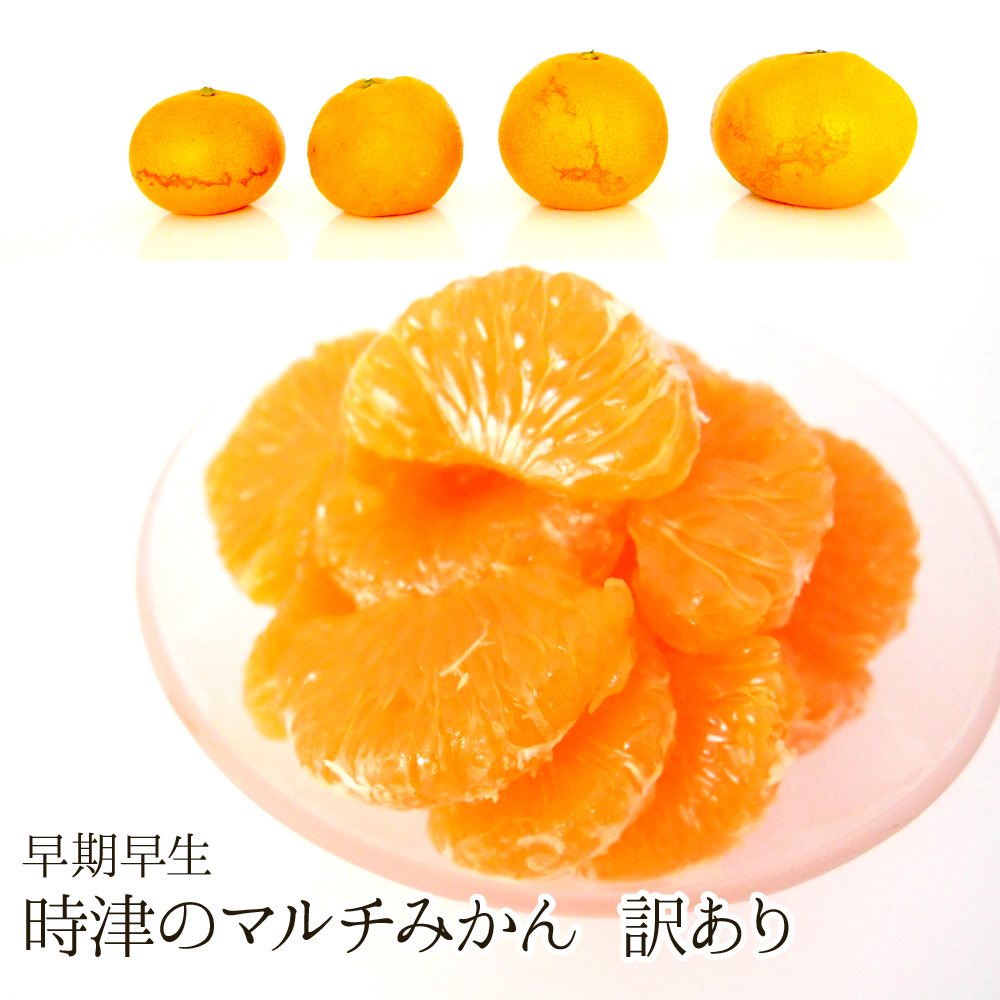 【送料無料】時津のマルチみかん(早期早生/訳あり/2S～L)（約10kg）