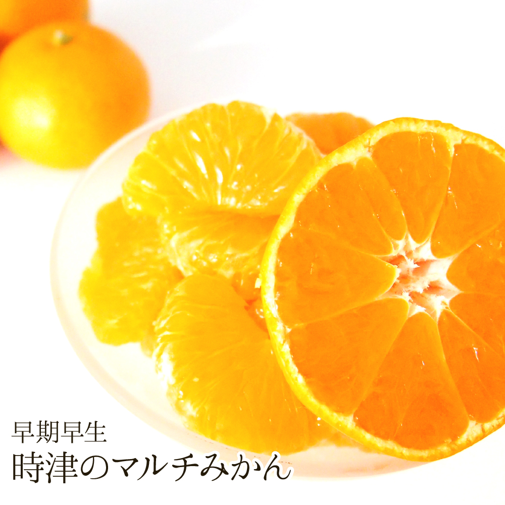 【送料無料】時津のマルチみかん(早期早生)（約10kg）