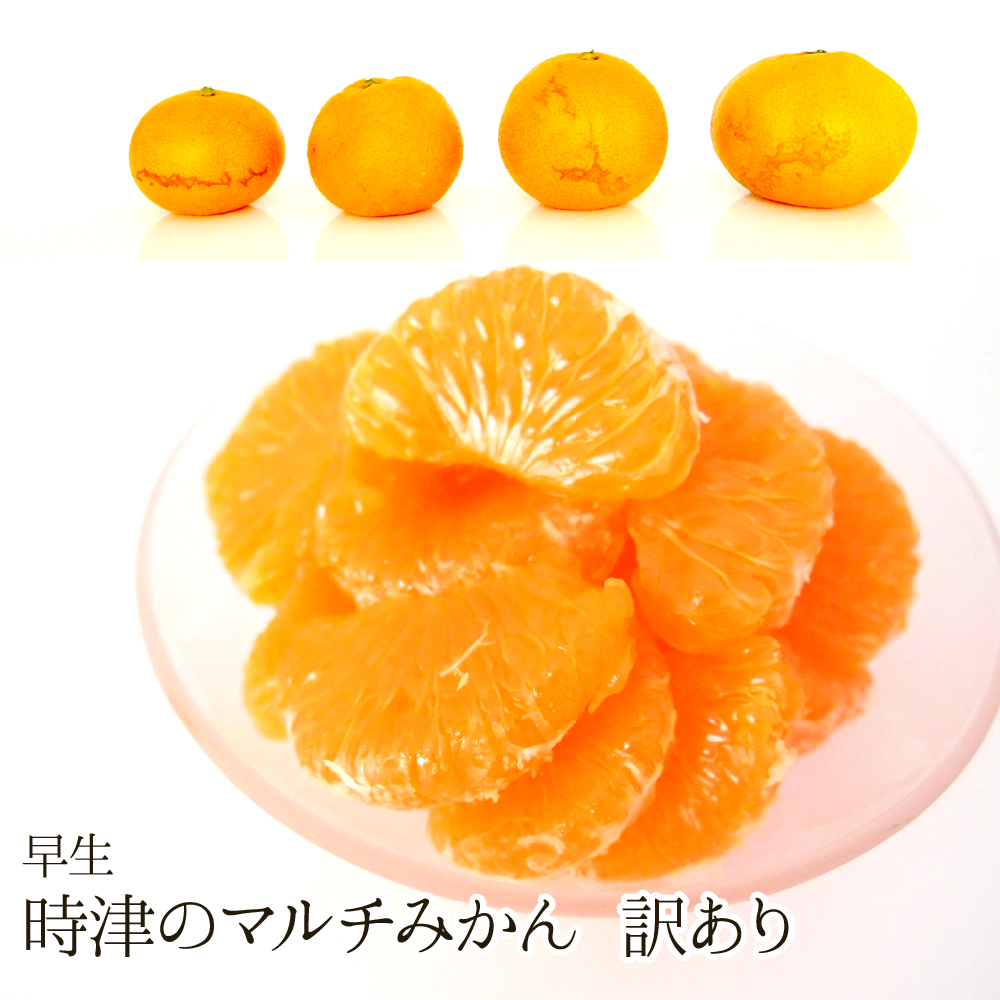 【送料無料】時津のマルチみかん(早生/訳あり/S～L)（約10kg）