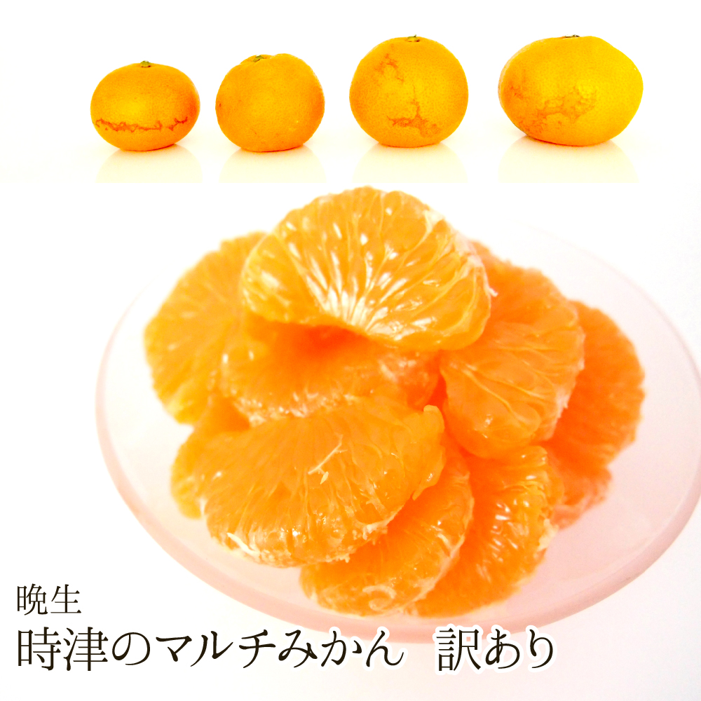 【送料無料】時津のマルチみかん(晩生/訳あり/S～2L)（約10kg）